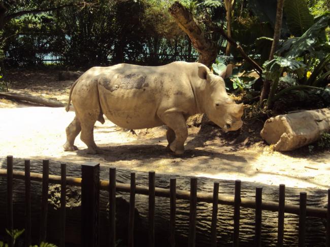 DSC02962_resize.JPG